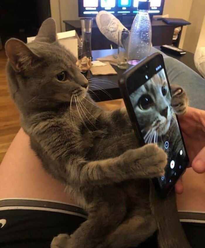 41 fotos de animais com auras poderosas e ameaçadoras 35 41 fotos de animais com auras poderosas e ameaçadoras 35
