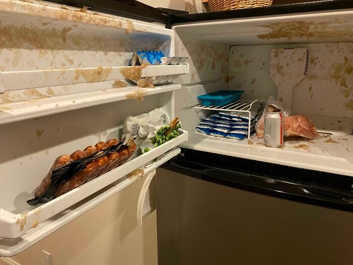 26 fotos de desastres domésticos de alguns dias ruins 9