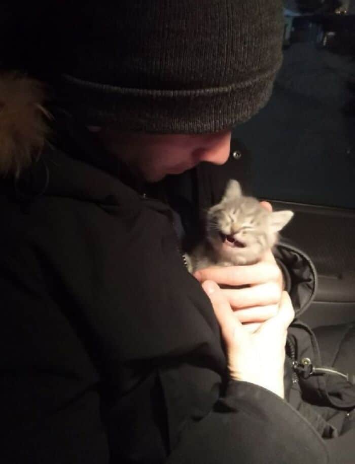 44 fotos do mês de abril de bichinhos adotado 5