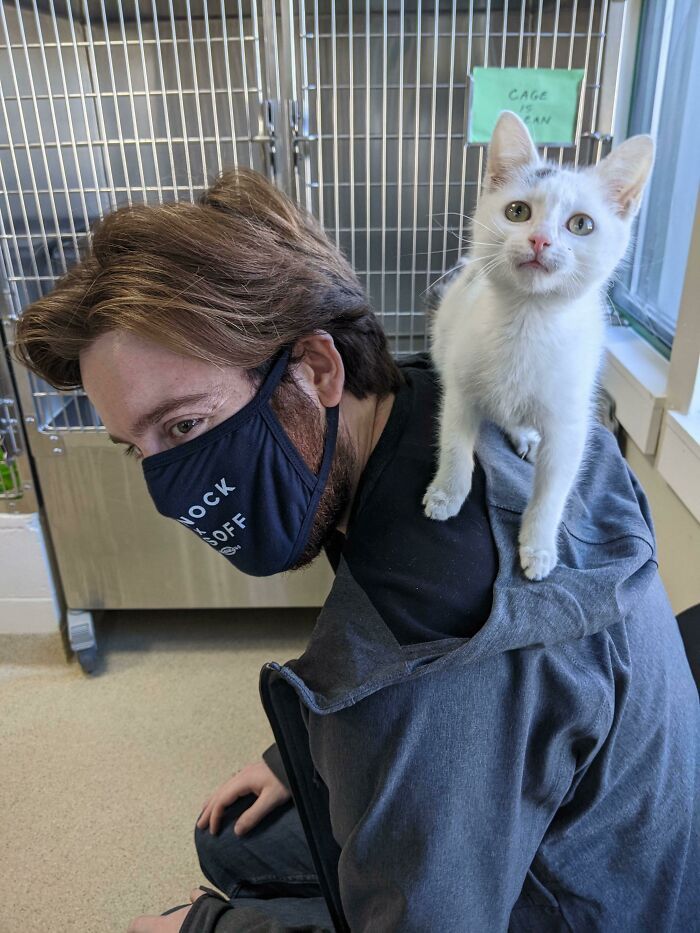 44 fotos do mês de abril de bichinhos adotado 28