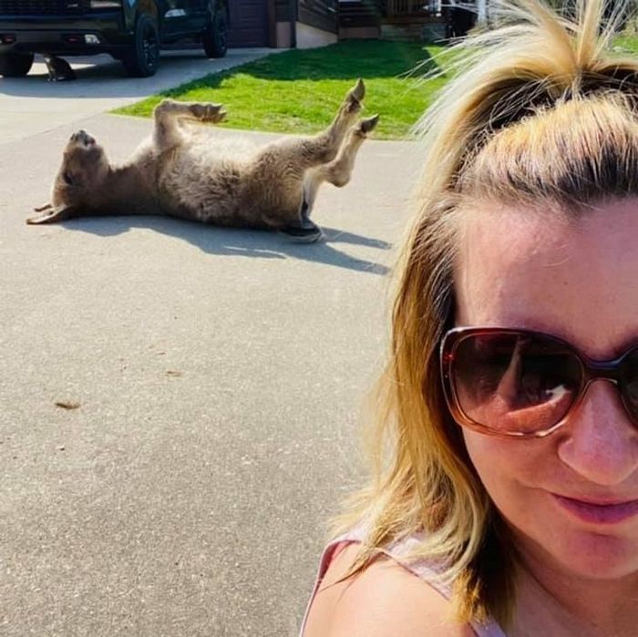 20 fotos que vão fazer você sorrir o dia inteiro 10