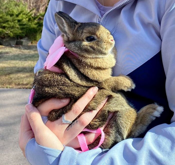 20 fotos que vão fazer você sorrir o dia inteiro 12