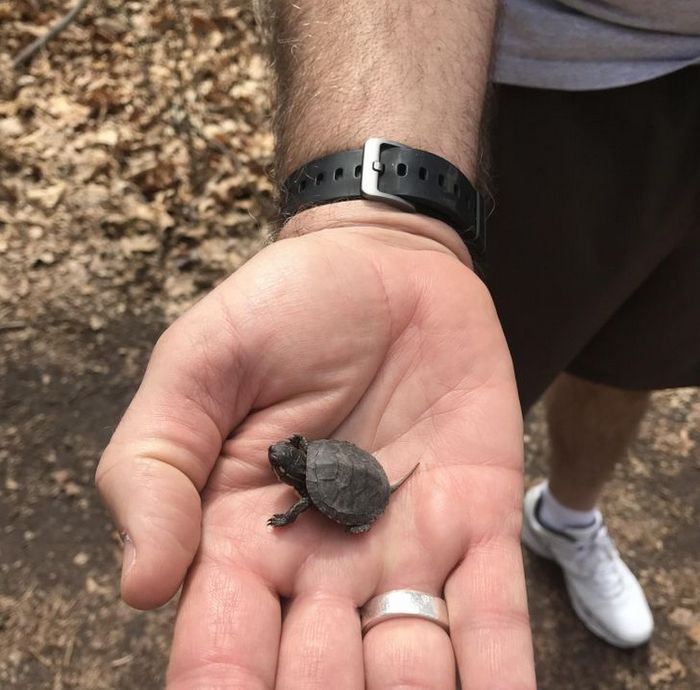 20 fotos que vão fazer você sorrir o dia inteiro 13