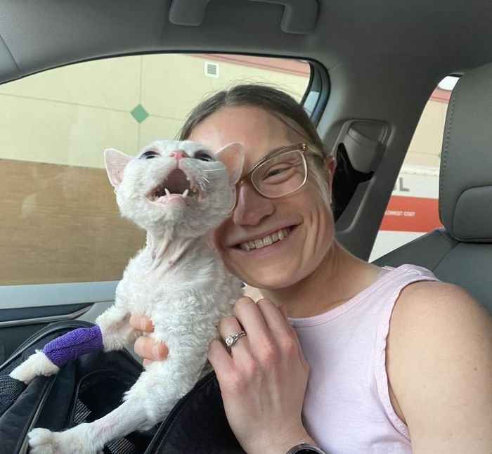 20 fotos que vão fazer você sorrir o dia inteiro 15