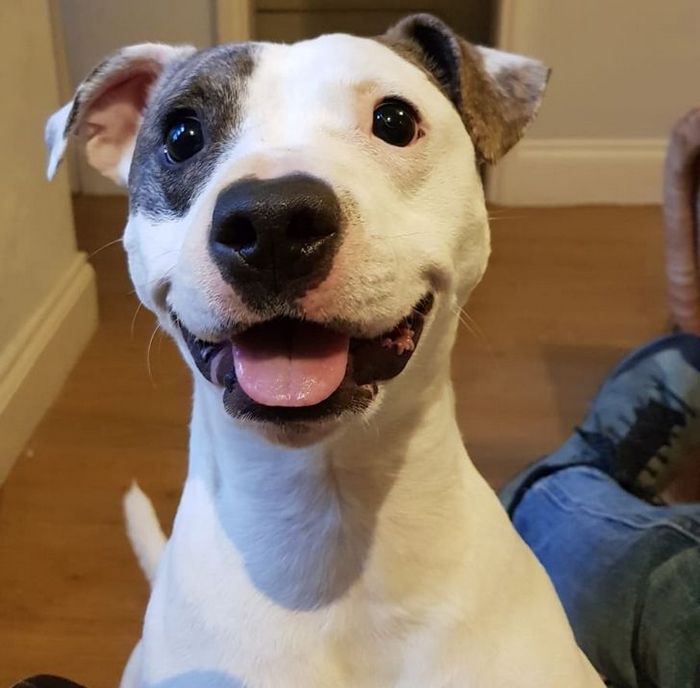 20 fotos que vão fazer você sorrir o dia inteiro 18