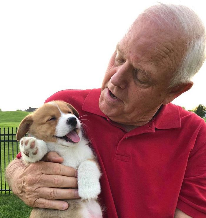 20 fotos que vão fazer você sorrir o dia inteiro 20