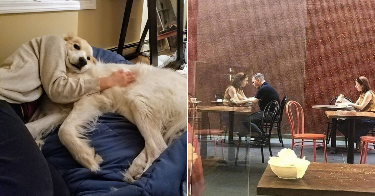 24 fotos que você precisa ver duas vezes para entender