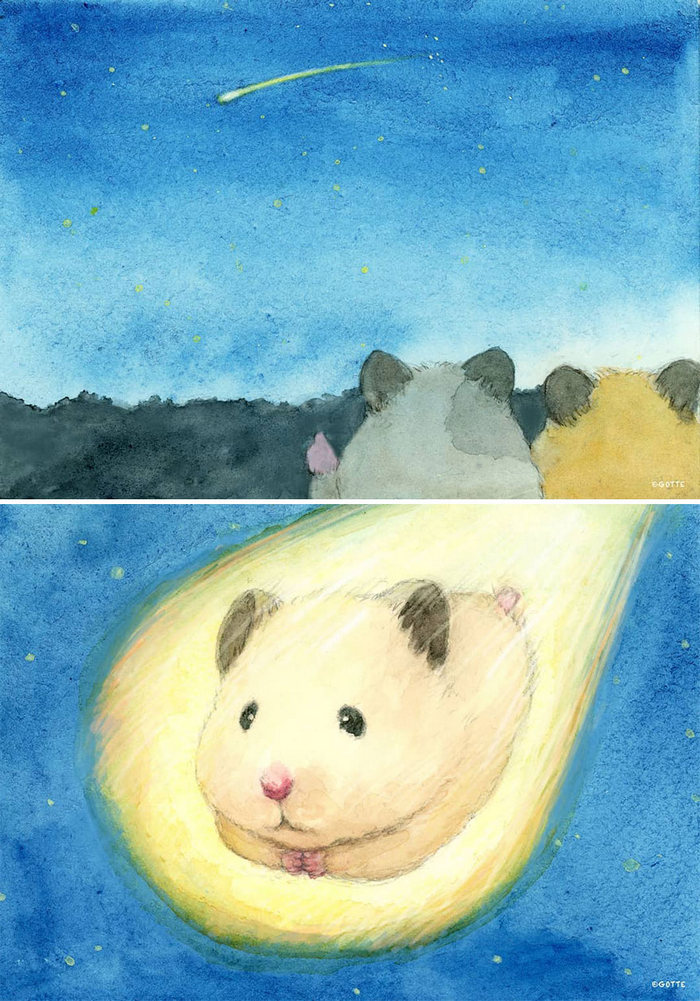 34 Ilustrações saudáveis ​​de um Hamster Chamado Sukeroku 15