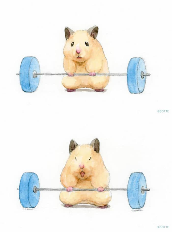 34 Ilustrações saudáveis ​​de um Hamster Chamado Sukeroku 30