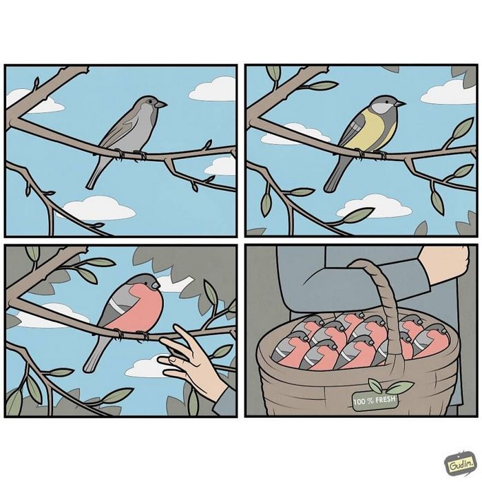 52 quadrinhos sarcásticos que você precisa ver duas vezes para entender 32