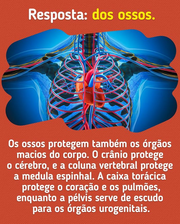 ✓😃😃 QUANTAS VAI ACERTAR? QUIZ CULTURA GERAL - 40 PERGUNTAS E RESPOSTAS  #53 