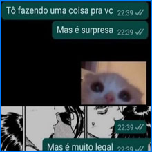 Eu fazendo surpresas