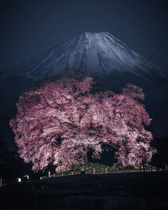 Um fotógrafo captura a beleza hipnotizantes da Ásia 14