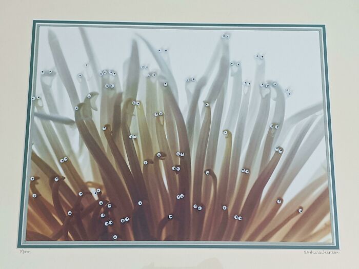 34 vezes que artistas repintou pinturas de brechós com seus pincéis 11