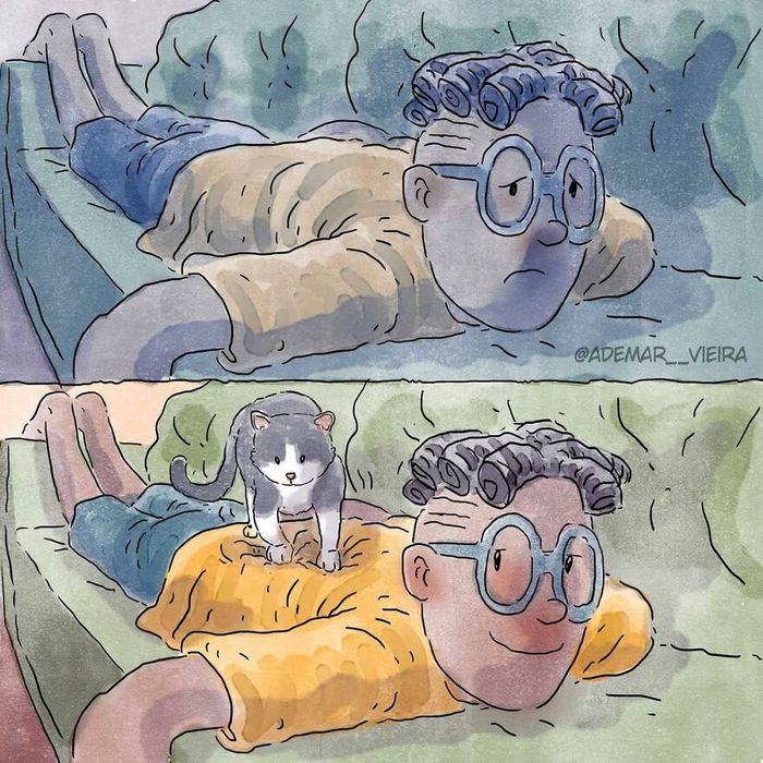 Artista compartilha sua história de adoção de um gatinho sem usar uma única palavra 9