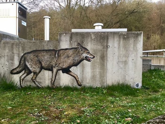 Artista criar grafites que interagem com os arredores (30 fotos) 3