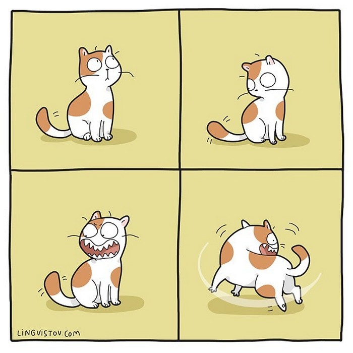 Artista ilustra momentos hilariantes na vida de cada proprietário de gato (35 fotos) 2