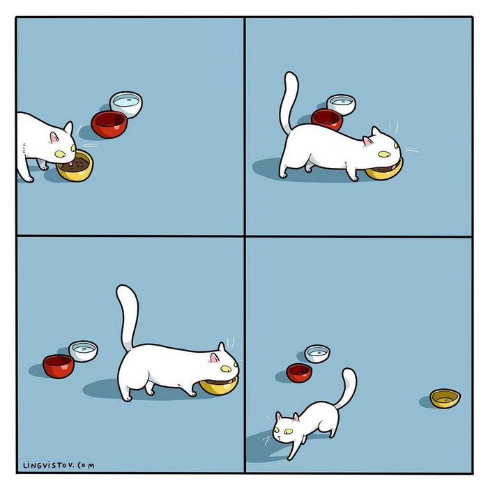Artista ilustra momentos hilariantes na vida de cada proprietário de gato (35 fotos) 4