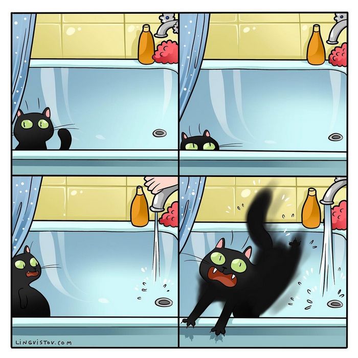 Artista ilustra momentos hilariantes na vida de cada proprietário de gato (35 fotos) 8