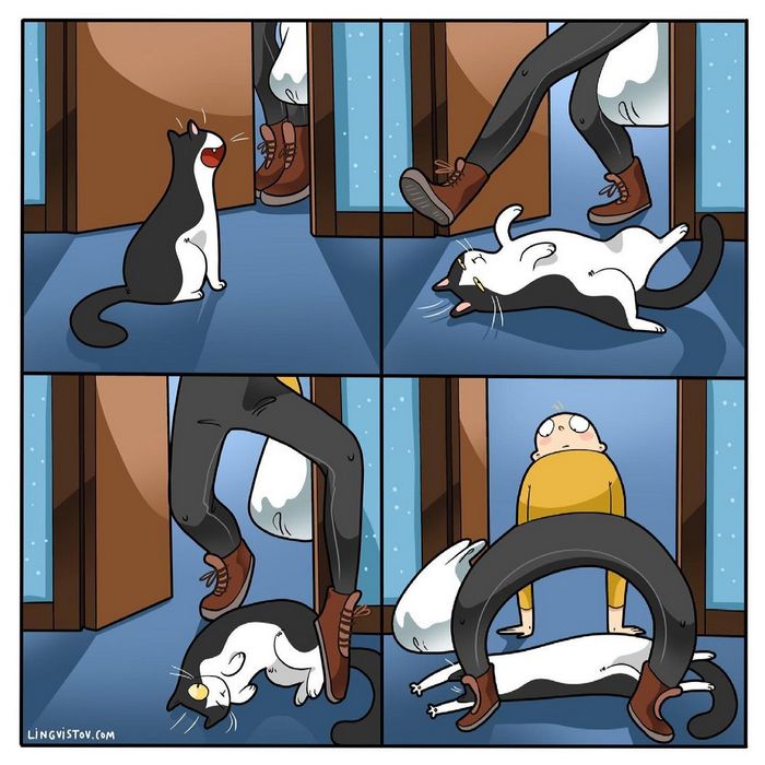 Artista ilustra momentos hilariantes na vida de cada proprietário de gato (35 fotos) 13