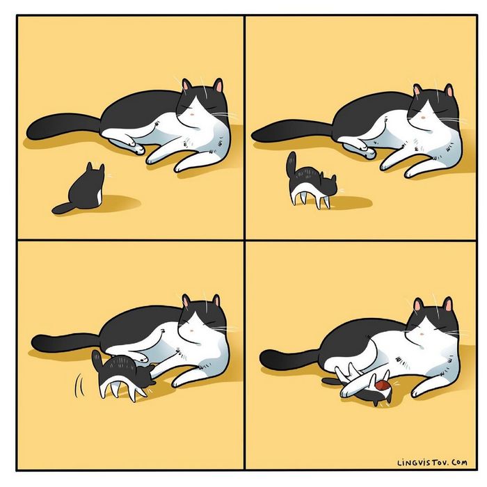 Artista ilustra momentos hilariantes na vida de cada proprietário de gato (35 fotos) 15