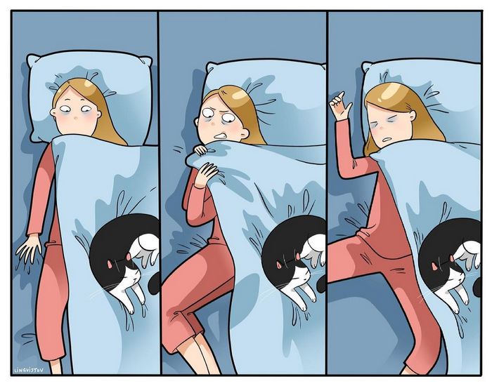 Artista ilustra momentos hilariantes na vida de cada proprietário de gato (35 fotos) 16