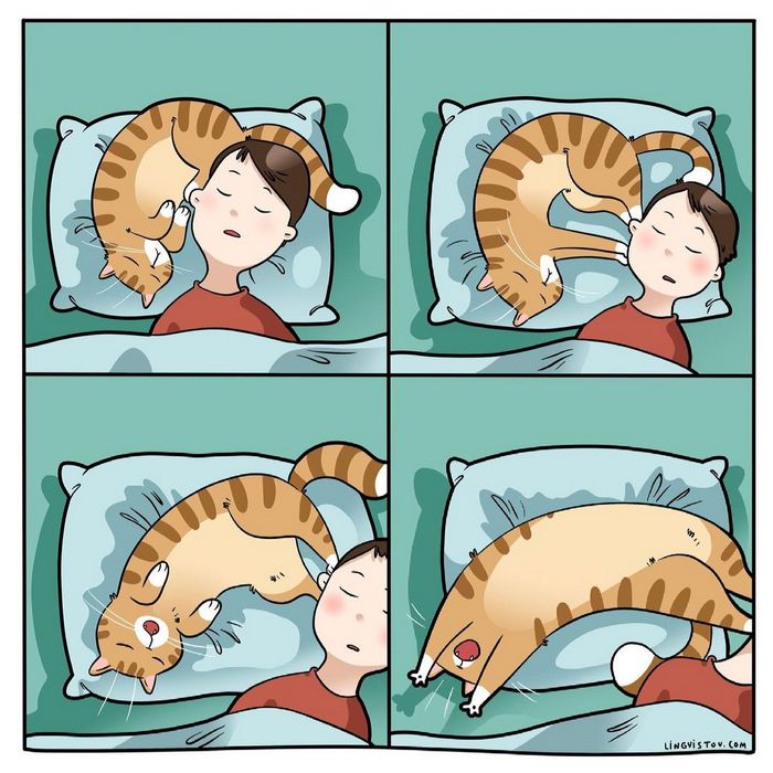 Artista ilustra momentos hilariantes na vida de cada proprietário de gato (35 fotos) 17