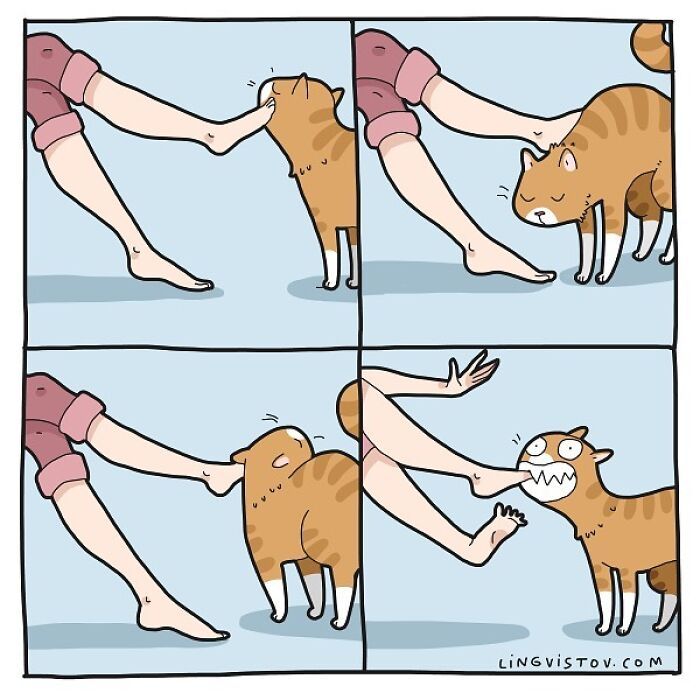 Artista ilustra momentos hilariantes na vida de cada proprietário de gato (35 fotos) 26
