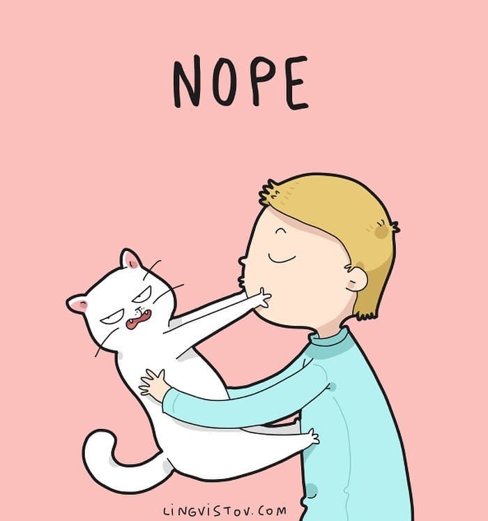 Artista ilustra momentos hilariantes na vida de cada proprietário de gato (35 fotos) 27