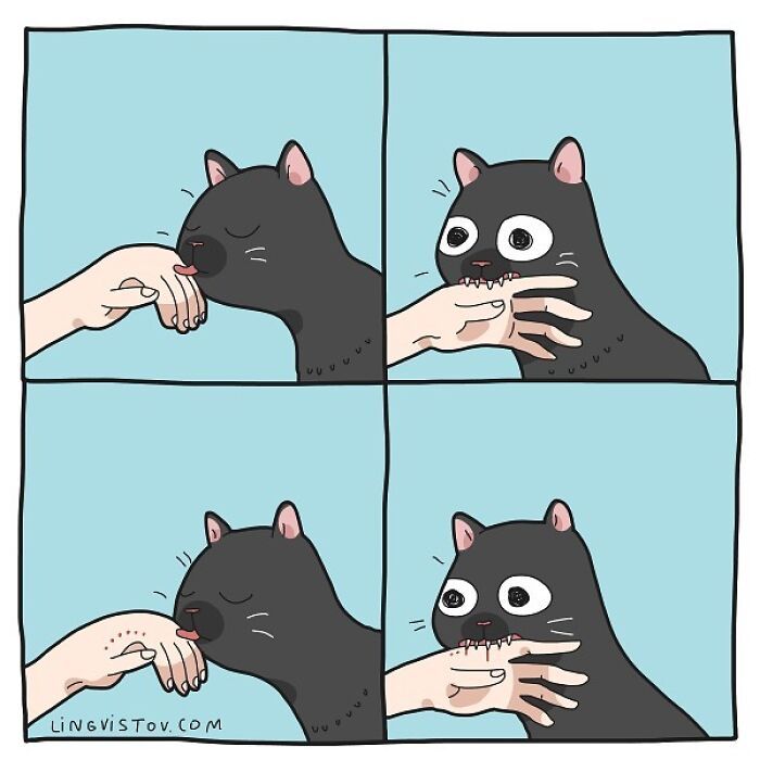 Artista ilustra momentos hilariantes na vida de cada proprietário de gato (35 fotos) 28