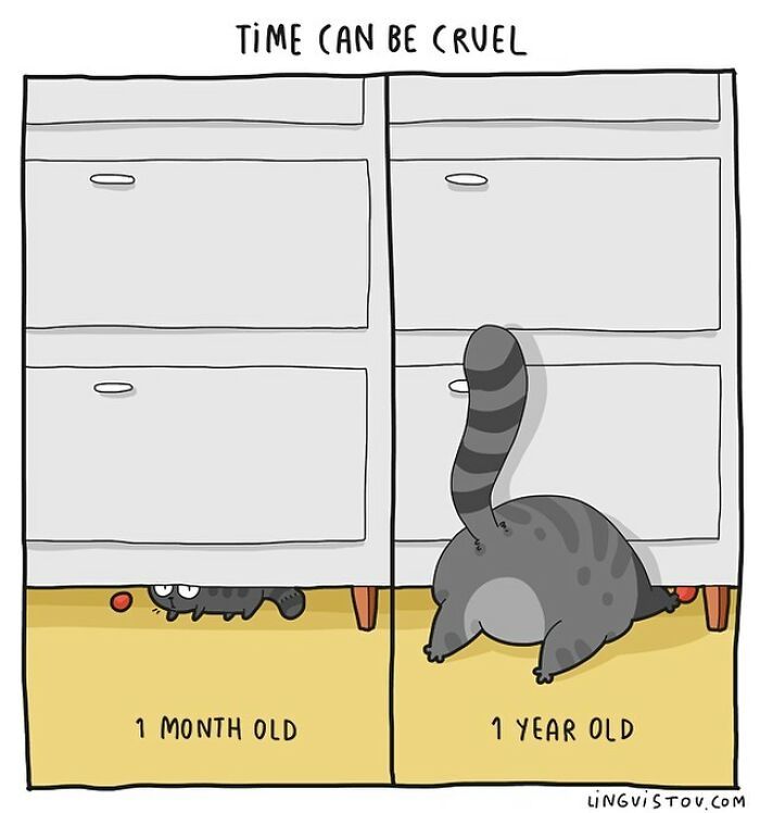 Artista ilustra momentos hilariantes na vida de cada proprietário de gato (35 fotos) 29