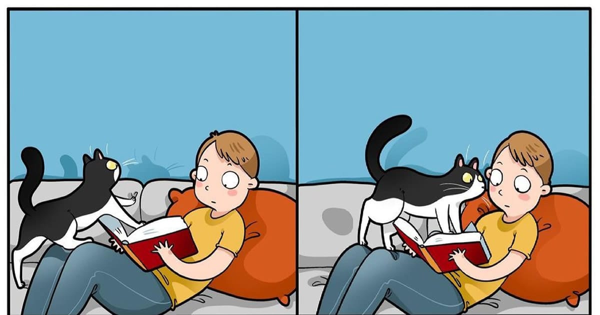 Artista ilustra momentos hilariantes na vida de cada proprietário de gato (35 fotos)