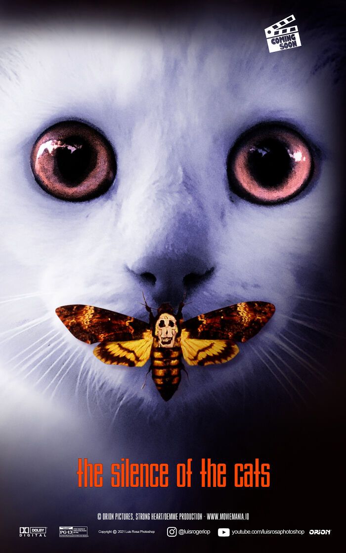 Artista recria pôsteres de filmes e substitui atores por gatos e cães (19 fotos) 1 Artista recria pôsteres de filmes e substitui atores por gatos e cães (19 fotos) 1