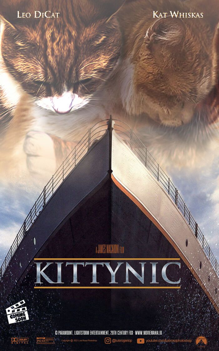 Artista recria pôsteres de filmes e substitui atores por gatos e cães (19 fotos) 3 Artista recria pôsteres de filmes e substitui atores por gatos e cães (19 fotos) 3