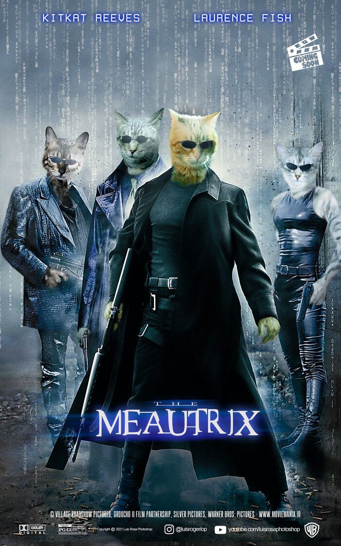 Artista recria pôsteres de filmes e substitui atores por gatos e cães (19 fotos) 4 Artista recria pôsteres de filmes e substitui atores por gatos e cães (19 fotos) 4
