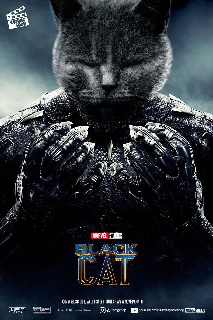 Artista recria pôsteres de filmes e substitui atores por gatos e cães (19 fotos) 5 Artista recria pôsteres de filmes e substitui atores por gatos e cães (19 fotos) 5