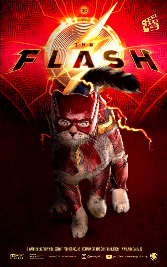 Artista recria pôsteres de filmes e substitui atores por gatos e cães (19 fotos) 7 Artista recria pôsteres de filmes e substitui atores por gatos e cães (19 fotos) 7