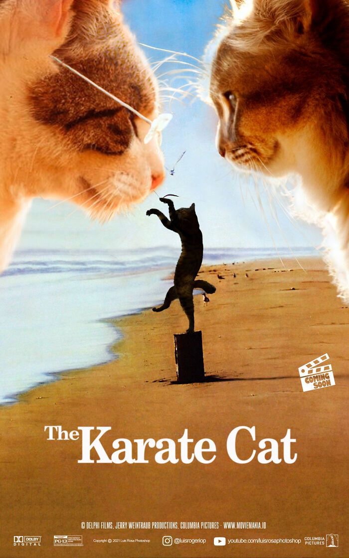 Artista recria pôsteres de filmes e substitui atores por gatos e cães (19 fotos) 8 Artista recria pôsteres de filmes e substitui atores por gatos e cães (19 fotos) 8