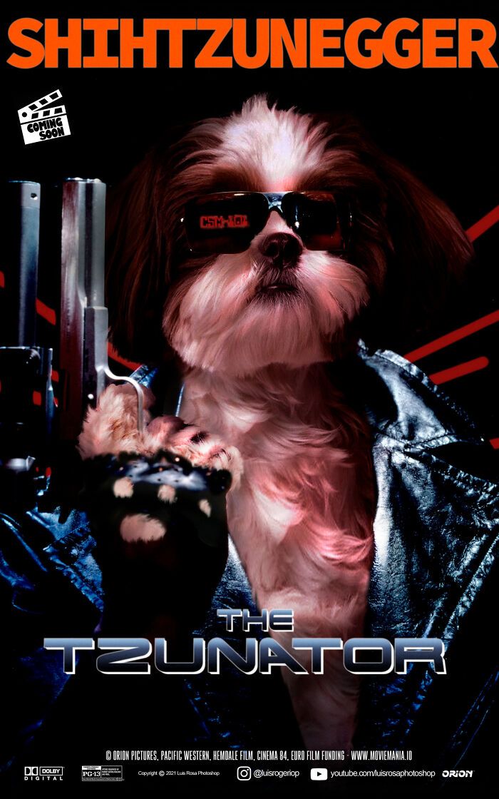 Artista recria pôsteres de filmes e substitui atores por gatos e cães (19 fotos) 9 Artista recria pôsteres de filmes e substitui atores por gatos e cães (19 fotos) 9