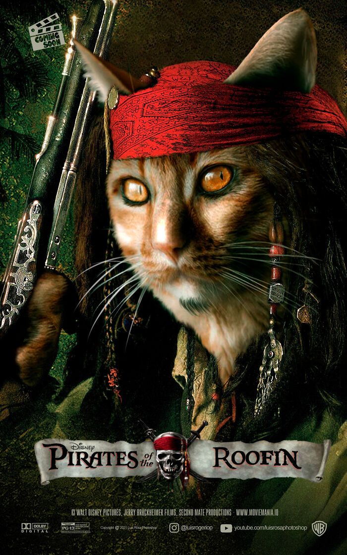 Artista recria pôsteres de filmes e substitui atores por gatos e cães (19 fotos) 10 Artista recria pôsteres de filmes e substitui atores por gatos e cães (19 fotos) 10