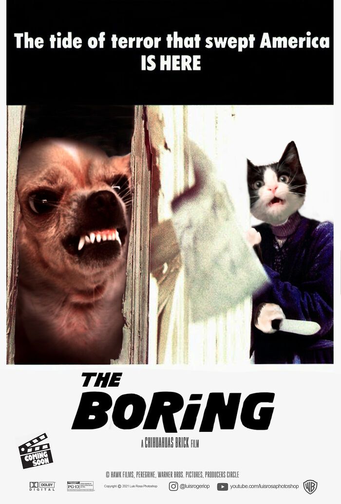 Artista recria pôsteres de filmes e substitui atores por gatos e cães (19 fotos) 12 Artista recria pôsteres de filmes e substitui atores por gatos e cães (19 fotos) 12