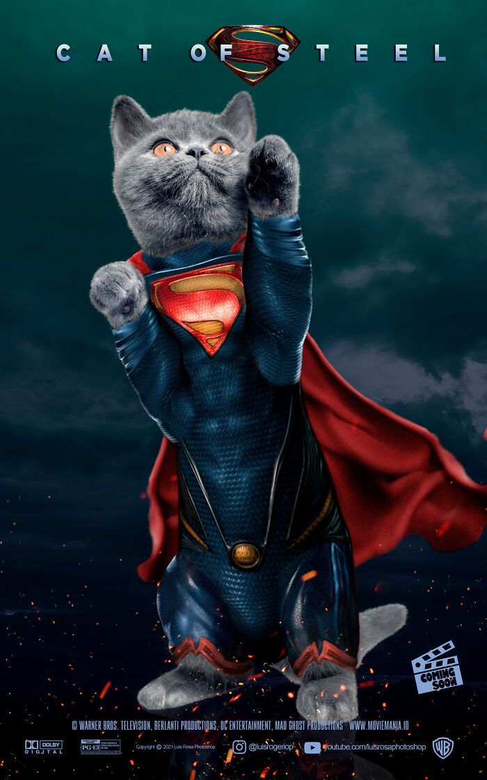 Artista recria pôsteres de filmes e substitui atores por gatos e cães (19 fotos) 13 Artista recria pôsteres de filmes e substitui atores por gatos e cães (19 fotos) 13
