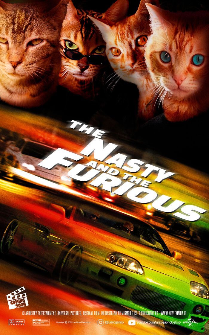 Artista recria pôsteres de filmes e substitui atores por gatos e cães (19 fotos) 16 Artista recria pôsteres de filmes e substitui atores por gatos e cães (19 fotos) 16