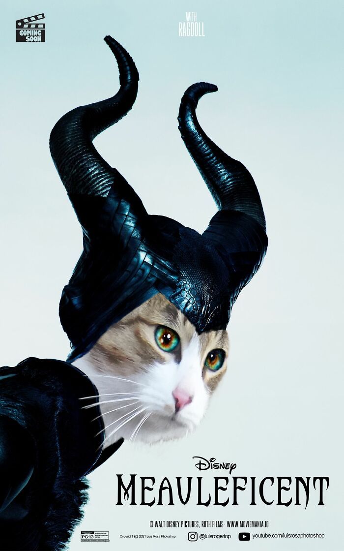 Artista recria pôsteres de filmes e substitui atores por gatos e cães (19 fotos) 18 Artista recria pôsteres de filmes e substitui atores por gatos e cães (19 fotos) 18