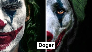 Artista recria pôsteres de filmes e substitui atores por gatos e cães (19 fotos) 34