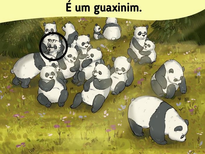 18 desafios para você testar sua capacidade de observação 6 18 desafios para você testar sua capacidade de observação 6
