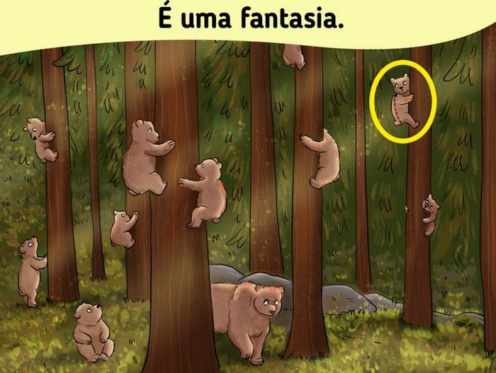 18 desafios para você testar sua capacidade de observação 8 18 desafios para você testar sua capacidade de observação 8