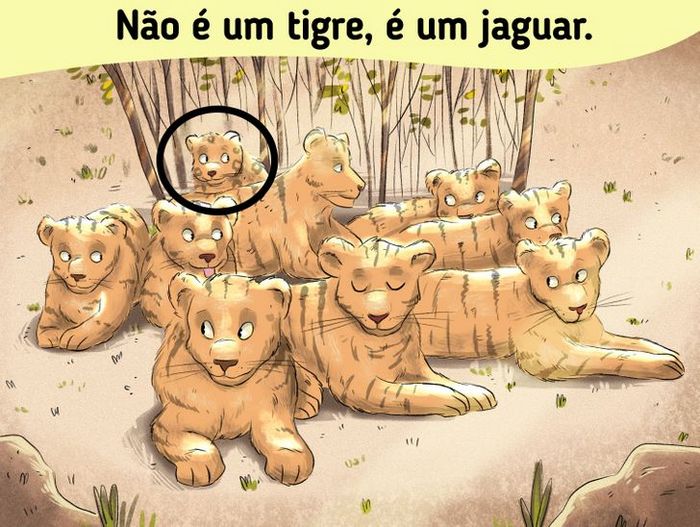 18 desafios para você testar sua capacidade de observação 14 18 desafios para você testar sua capacidade de observação 14