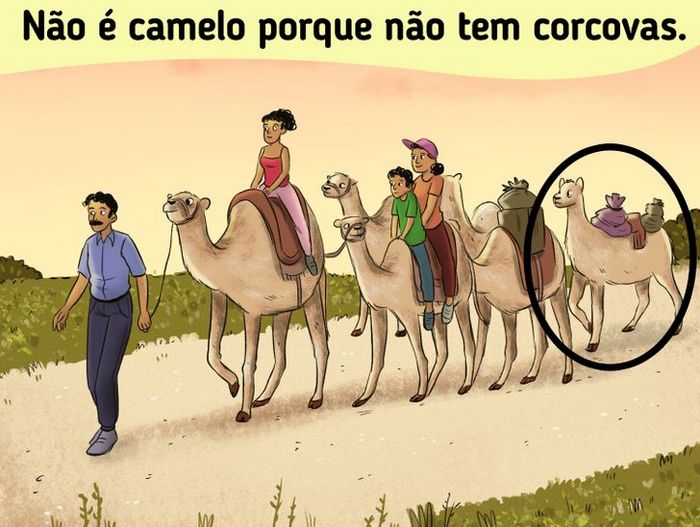 18 desafios para você testar sua capacidade de observação 20 18 desafios para você testar sua capacidade de observação 20