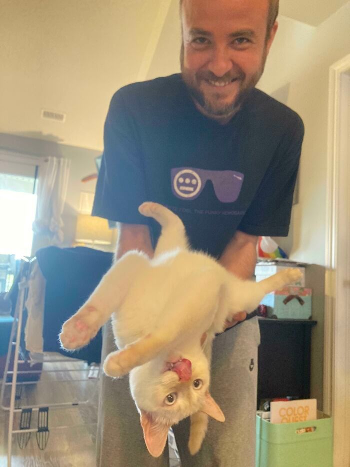 30 fotos de animais de estimação que foram adotados em maio 3